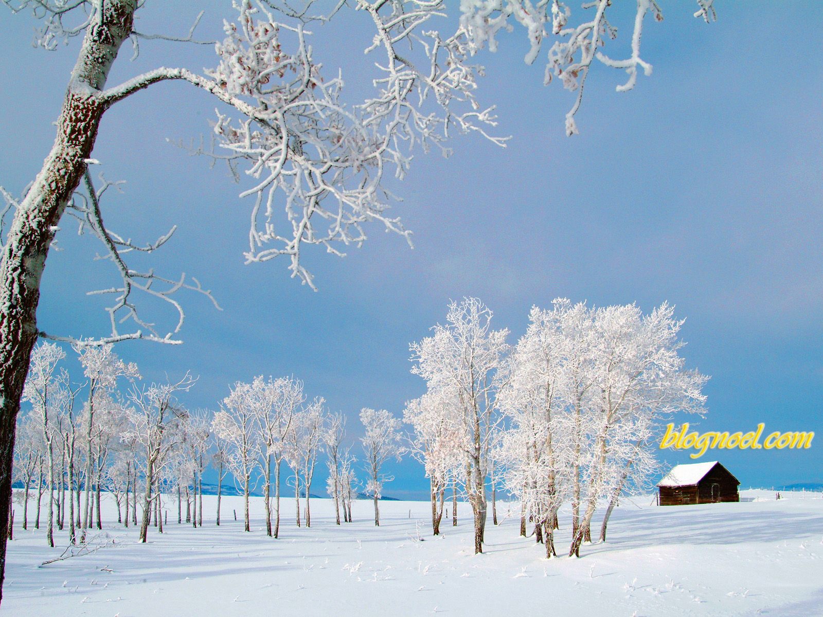Vido des paysages Suisse avec la neige  Paperblog
