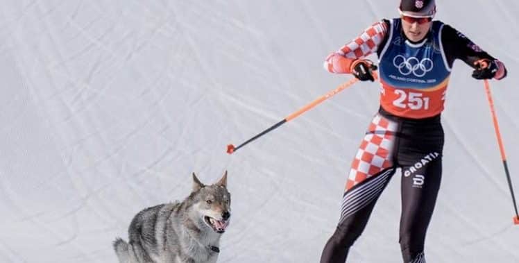 Vidéo des JO 2026 un chien fait sa course