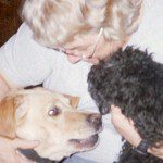 Photo chiens petite vignette Photo chiens petite vignette