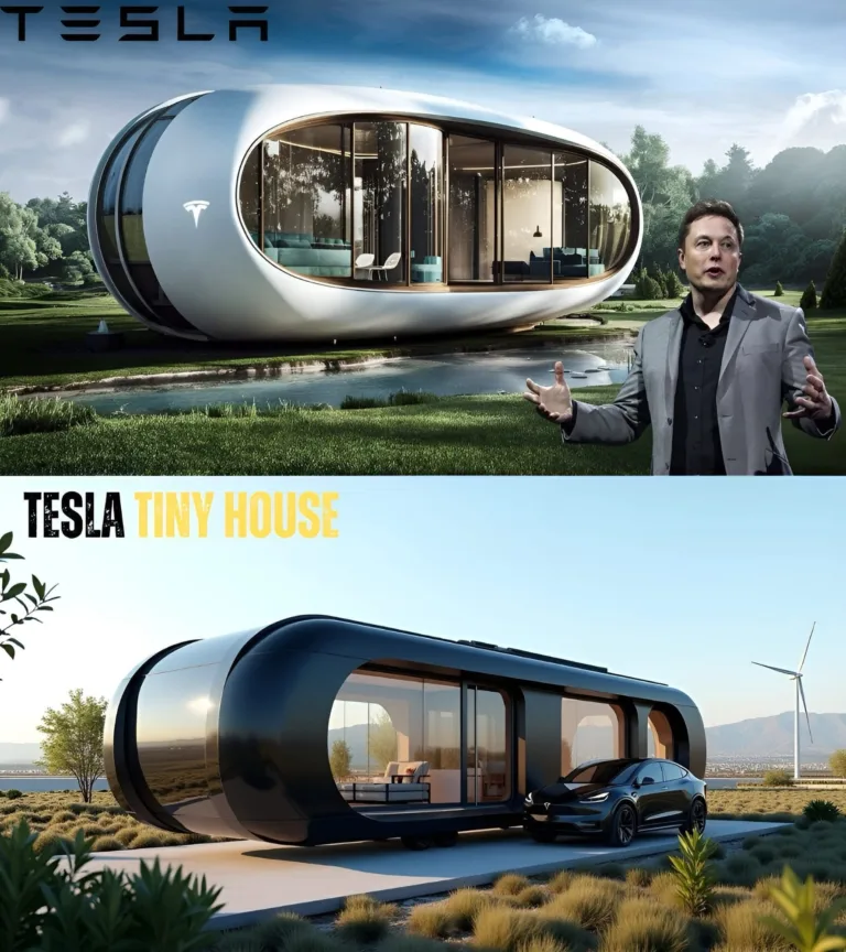 Tiny house Tesla – tout ce qu’il faut savoir