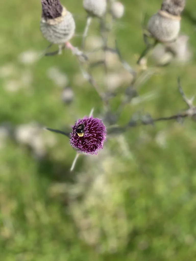 Les 10 lieux les plus visités en Suisse : à voir absolument