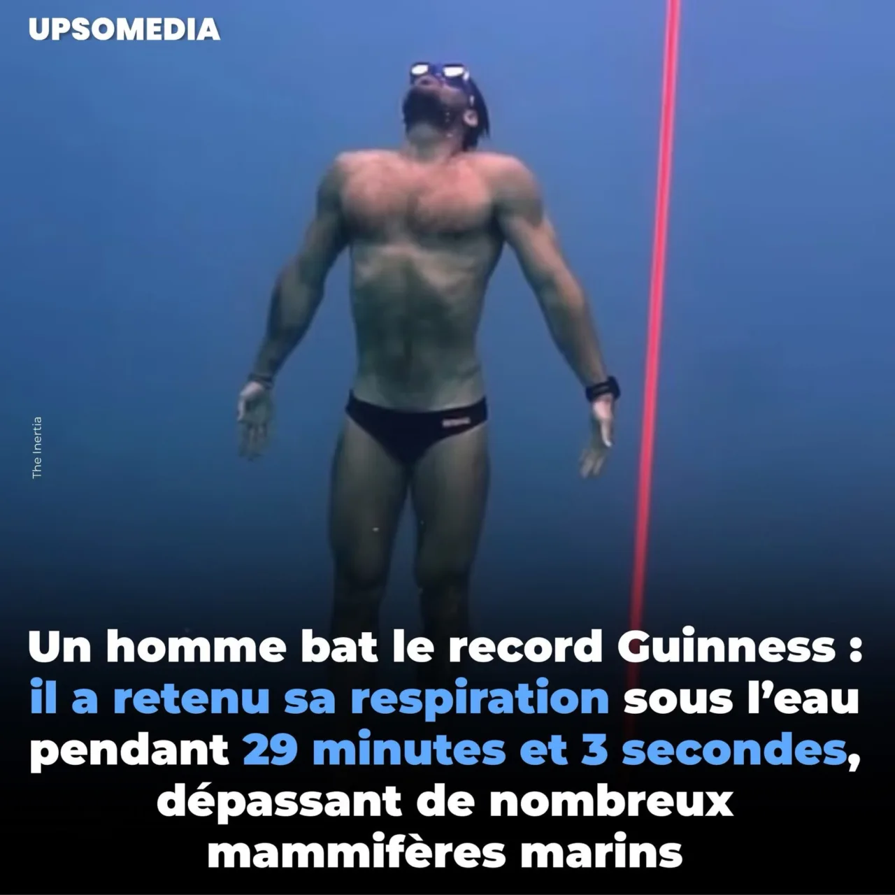 Record apnée