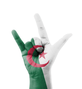 Fennecs Russie j'aime algérie