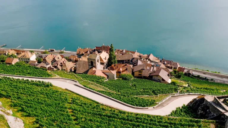 Saint-Saphorin superbe village sur au bord du lac Léman